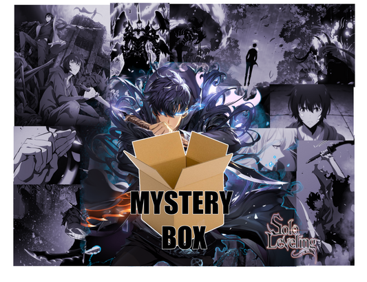 SOLO LEVELING MYSTERY BOX