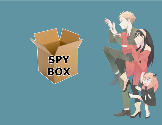 Spy Tumbler Mystery Box