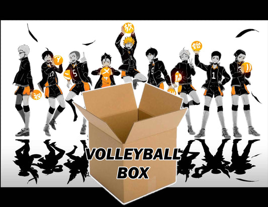 Volleyball Anime Tumbler Mystery Box