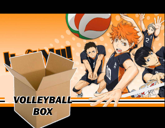 Volleyball Anime Tumbler Mystery Box